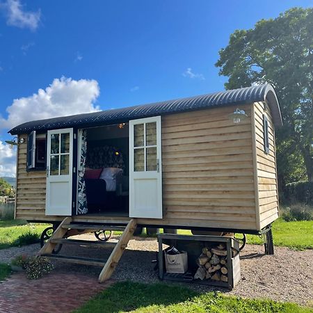Toadland Shepherd Huts Durham Extérieur photo